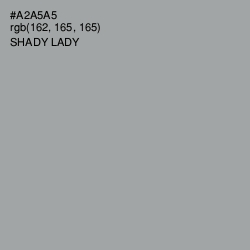 #A2A5A5 - Shady Lady Color Image